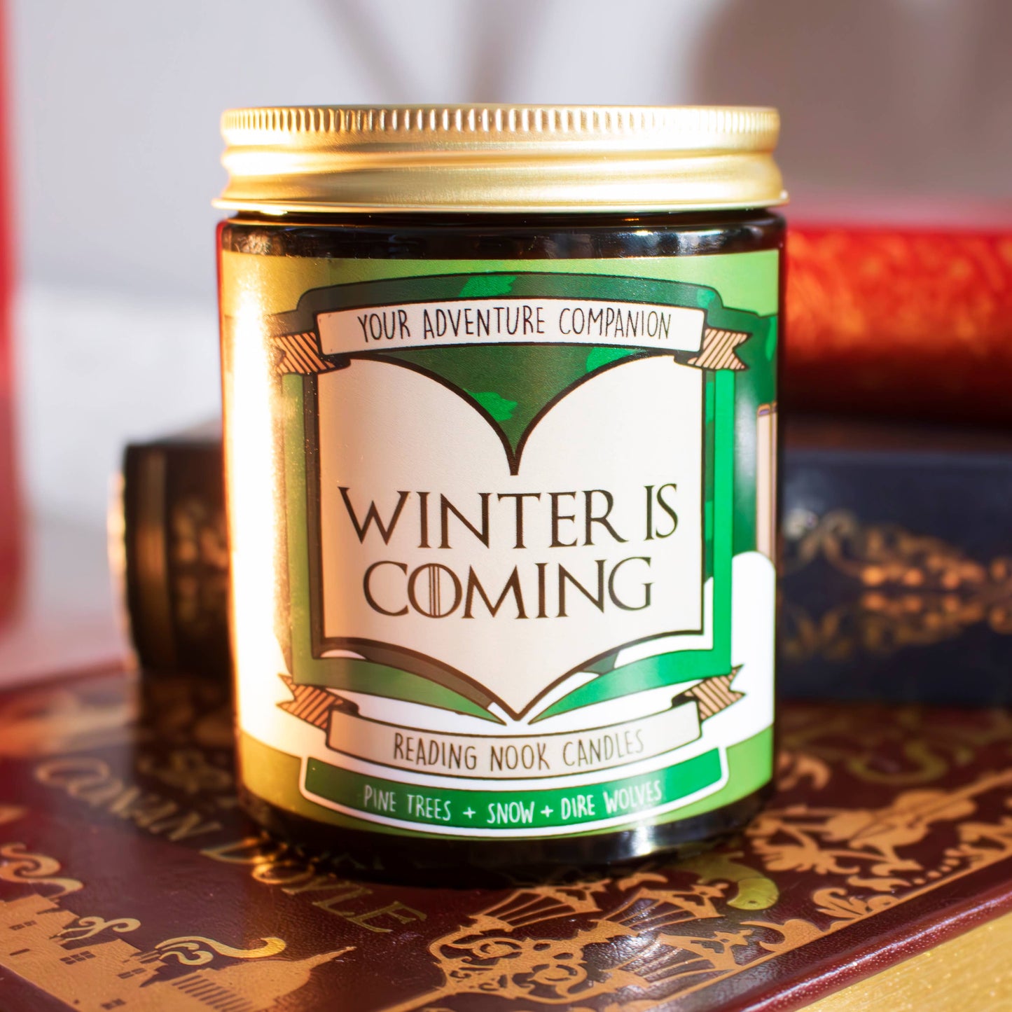 Reading Nook Candle: Winter is Coming: 6oz